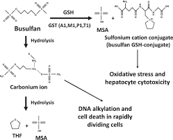 Image result for Busulfan