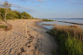 Nags Head Woods Ecological Preserve Outerbanks Com Nags Head Beach Life Beach Vacation