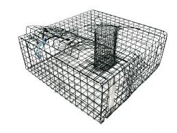 Domestic wholesale sales phone 888.353.9898 email sales@lobstertrap.com. Lobster Traps Pvc Coated Stainless Steel 316l Provided
