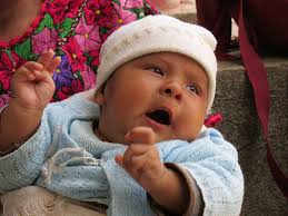 PAISANO 2015 Midterm Evaluation Report