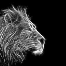 Black And White Lion Wallpaper Iphone 1080p Hd Lion Wallpaper Black And White High Quality Desktop Iphone And Android Background And Wallpaper A Lion Wallpaper Animal Wallpaper Black And White