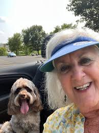 Does anyone have Theo's dog siblings from Bristol?