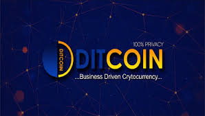 You can pay with usdt, usdc, btc, or eth. Pr Privacy Coin Ditcoin Launches Its Ico Press Release Bitcoin News