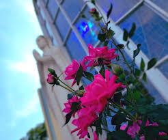 Immaculate Conception Parish