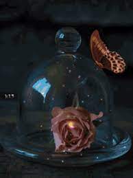 Your love will take you in your arms. Butterfly Rose Gifs Tenor