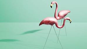 Check spelling or type a new query. The Tacky History Of The Pink Flamingo Arts Culture Smithsonian Magazine