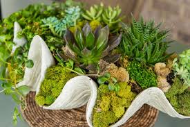 So if you really want to exercise your green thumb and that too nice and easily, these succulent projects are perfect to go for. 6 Magical Succulent Centerpieces That Make The Table