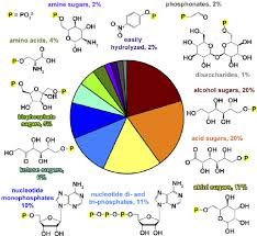 Pie Chart Showing The Chemical Composition Of The Substrate