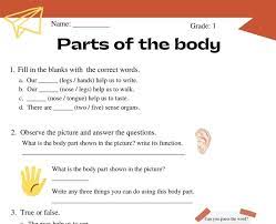 Identify the parts marked and label them with. Parts Of The Body Worksheet For Grade 1