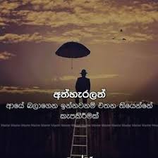 Maybe you would like to learn more about one of these? Patience Quotes Sinhala 84 Best Quotes Images Quotes Jokes Photos Lion Quotes Dogtrainingobedienceschool Com