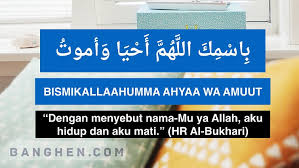 Index Of Wp Content Uploads 2017 07