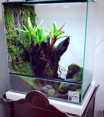 David Daniel On Instagram This One Is Gonna Be For Sale Soon Paludarium 55x35x60cm Vivarium Tera Garden Terrarium Dart Frog Vivarium Terrarium Plants
