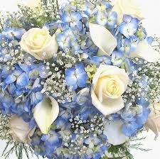Blaue Hochzeitsblumen Blaue Hortensie Weisse Rosen Weisse Callalilien Und Weisse Blaue Callalilien Hochzeitsblumen Blaue Hortensien Blaue Hochzeitsblumen