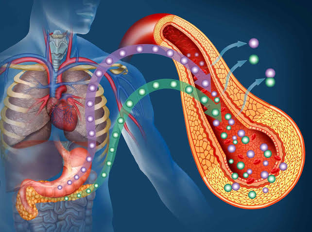 Insulin Resistance: A Natural Approach to Healthy Blood Glucose Levels