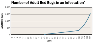Aging Bed Bug Infestations How Long Have They Been Here