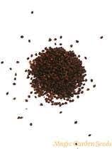 Pin Auf Green Smoothie Zutaten