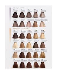 Excell 5 tinte para hombre en 5 minutos. Carta De Colores Hipertin