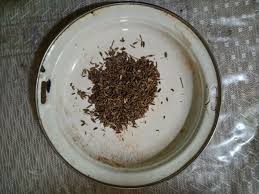 Krangean satu tanaman obat asli indonesia yang memiliki kemampuan meningkatkan kemampuan libido buah krangean di sunda dikenal dengan nama kilemo, nama ilmiahnya litsea cubeba pers. 9 Ide Krangean