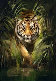 Farrukh Bala I Will Do Book Cover Design Book Cover Design Book Covers For 10 On Fiverr Com Tiger Painting Tiger Pictures Tiger Artwork