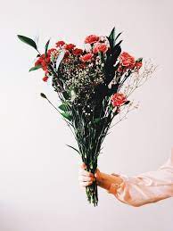 Carnations Bouquet Instagram Amyflyingakite I Have This Thing With Flowers Flowers Floral Flora Fauna Ar Carnation Bouquet Carnations Gladiolus Bouquet