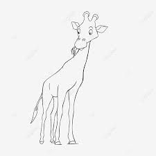 Lukis hitam putih wajah valerinya kustan membuat seni lukis wajah hanya dalam warna hitam dan putih yang diberikan desain unik. Gambar Zirafah Clipart Hitam Dan Putih Zirafah Makan Rumput Barisan Hitam Dan Putih Cantik Lukisan Kanak Kanak Png Dan Psd Untuk Muat Turun Percuma