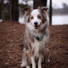 Walk ins or appointments welcome. Steel City Tattoo 57 Photos 12 Reviews Tattoo 314 E Broad St Bethlehem Pa Phone Number