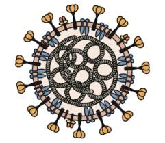 Infection Fatality Rate A Critical Missing Piece For Managing Covid 19
