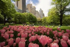 Primavera En Nueva York Turismo Nueva York