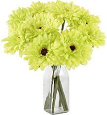 Peony, gerbera daisy & hydrangea bouquet. Amazon Com Daisy Wedding Bouquets
