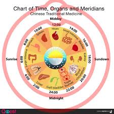 Chart Of Meridians Time And Organs Traditional Chinese