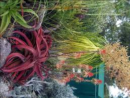 How To Make An Easy Succulent Container Garden Succulent Landscape Design Succulent Garden Design Succulent Landscaping