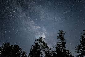 Bima sakti, langit berbintang, langit malam, bintang, malam, langit, ruang, kosmos, astro, astronomi, alam semesta. Hutan Malam Berbintang Langit Malam Malam Pohon Wallpaper Hd Wallpaperbetter