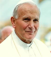 Brown Scapulars Ireland