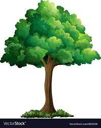 A Tree Royalty Free Vector Image Vectorstock Menggambar Pohon Tanaman Rumput
