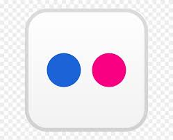 theskinnery demi (logo) @ logo 15th anniversary. Flickr Logo Vector Hd Png Download 800x600 4889292 Pngfind