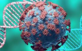 Anthony fauci, director of the national institute of allergy and infectious diseases, said during a white house briefing on june 22 that the delta variant is the greatest. Ay 1 Not A Variant Of Concern Yet Centre The Hindu