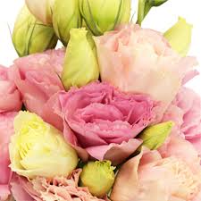 Purchase wholesale pink, yellow, white, burgundy, or purple peonies today! Bulk Wedding Pink Lisianthus Flowers Fiftyflowers