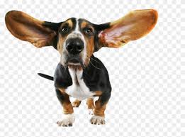 Check out amazing transparent artwork on deviantart. Funny Dog Transparent Png Clipart Cute Dog With Background Transparent Free Transparent Png Clipart Images Download