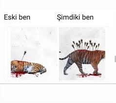 True Post 2020 Komik Deyisler Resimli Alintilar Alintilar