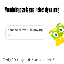 Maybe you would like to learn more about one of these? Your Hard Work Is Paying Off Only 10 Days Of Spanish Left Spanish Meme On Me Me