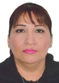 Ingresos de Otorongos Elecciones 2022