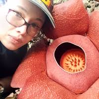 Systematics and biogeography of the non-viny grape relative Leea (Vitaceae