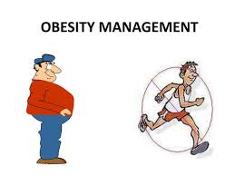 Image result for Obesity Management
