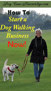 How To Start A Dog Walking Business Like Now Dog Walking Business Dog Walking Services Dog Business