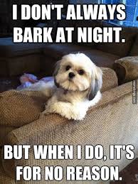 Unwritten Rule For Dogs To Bark For No Reason Dog Quotes Funny Funny Dog Pictures Funny Animal Memes