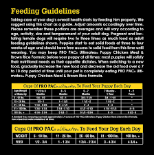 pro pac puppy food feeding chart best picture of chart