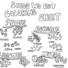 Make a flower craft (also can be used as a bible lesson.) using a free flower printable and basic craft supplies, children can learn about how god knows what they need and cares for them. Coloring Sheet Seeds The Edible Schoolyard Project