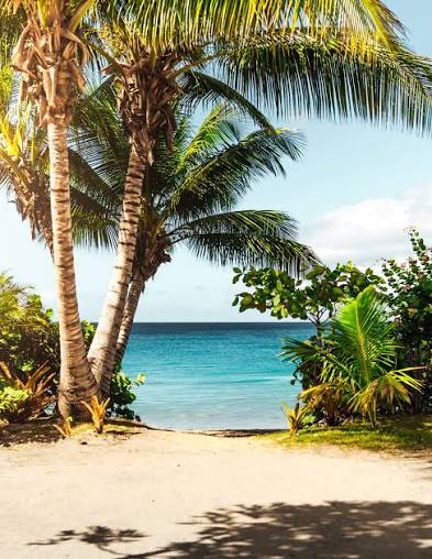 200+ Best Free Beach Pictures on Unsplash
