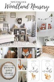 Baby Closet Dividers Woodland Theme Nursery Decor Closet Etsy Baby Boy Room Nursery Woodland Nursery Theme Woodland Nursery Boy