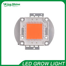 King cob led grow light. 100w High Lumen Super Intensity Indoor Led Grow Light Chip Full Spectrum 380 840nm Cob Led For Growth Free Shipping Indoor Led Grow Led Growgrow Light Chip Aliexpress